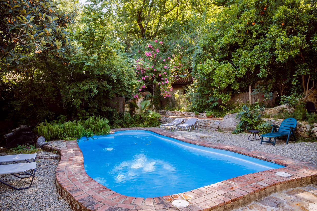 Casa Rural La Casa Del Bosque Navaconcejo Zewnętrze zdjęcie